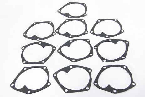 Прокладка водяного насоса (комплект 10 шт) для Kangoo, Clio, Logan, Megane, Scenic 1.5dCi 01-, ASAM (32221)