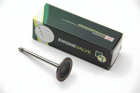 Клапан двигуна для Caddy III 1.6 i 04-, BGA (V991759) Клапан двигуна для Caddy III 1.6 i 04-, BGA (V991759)