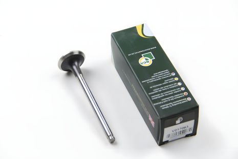 Выпускной клапан для DUCATO/DAILY/MASTER/TRAFIC, BGA (V017063)