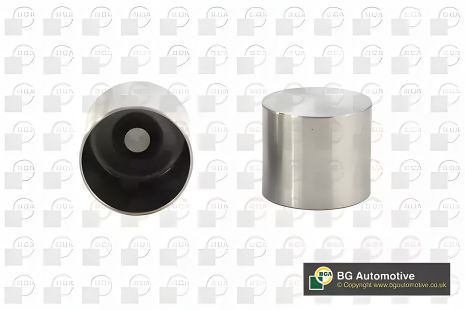 Гідрокомпенсатор Vivaro 01-06/Kangoo/Scenic 01-/Megane 06-09 1.9TDI/1.5 dCi (8.025 мм), BGA (HL7368) Гідрокомпенсатор Vivaro 01-06/Kangoo/Scenic 01-/Megane 06-09 1.9TDI/1.5 dCi (8.025 мм), BGA (HL7368)