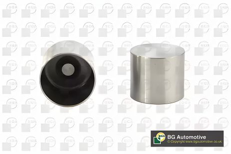 Гідрокомпенсатор Vivaro 01-06/Kangoo/Scenic 01-/Megane 06-09 1.9TDI/1.5 dCi (8.025 мм), BGA (HL7368) Гідрокомпенсатор Vivaro 01-06/Kangoo/Scenic 01-/Megane 06-09 1.9TDI/1.5 dCi (8.025 мм), BGA (HL7368)