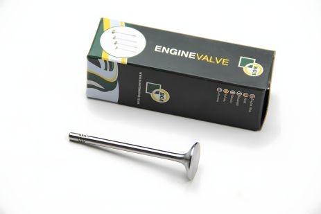 Впускной клапан 2.0TDI T5 09-/Crafter/Caddy 11-/Passat 10-, BGA (V165640) Впускной клапан 2.0TDI T5 09-/Crafter/Caddy 11-/Passat 10-, BGA (V165640)