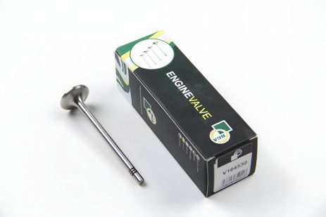 Впускний клапан BGA A4/A6/PASSAT 2.5TDi 00-06 (V164530)