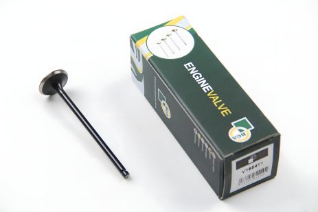 Клапан выпускной для NOTE/QASHQAI/TIIDA 1.2/1.6i 07-, BGA (V165411)