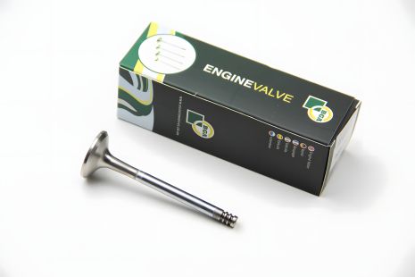 Випускний клапан VW 1.9D/TD (31x7x95.5), BGA (V331036) Випускний клапан VW 1.9D/TD (31x7x95.5), BGA (V331036)