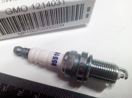 GM/Opel Spart Plug (95519058) (1214031)