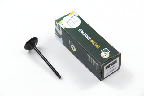 Впускний клапан ACCENT/i30/CEED/SPORTAGE/RIO/SOUL 1.4-1.6D 06- BGA (V165660) Впускний клапан ACCENT/i30/CEED/SPORTAGE/RIO/SOUL 1.4-1.6D 06- BGA (V165660)