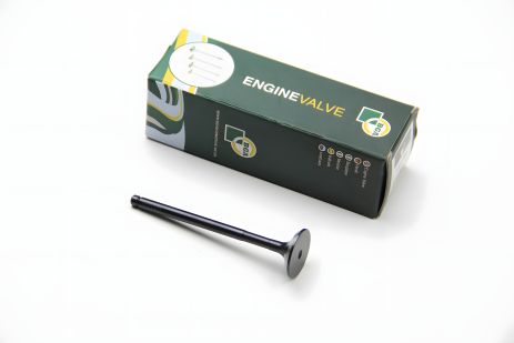 Клапан випуску Combo 1.7Di/CDTi 01-, BGA (V991856)