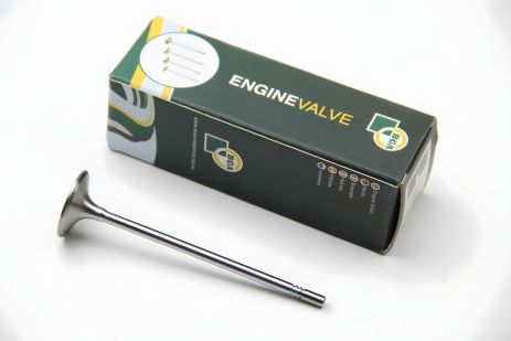 Впускний клапан для AVEO, ASTRA та VECTRA від BGA