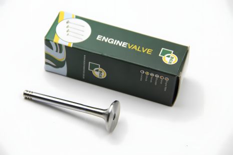 Выпускной клапан 2.5TDI LT 96-06/T4 96-03/Crafter 06-, BGA V033380