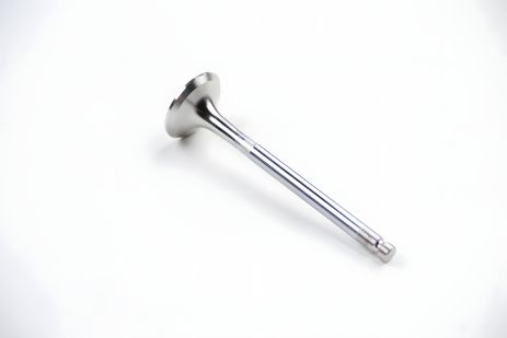 Выпускной клапан Doblo 1.6i, BGA (V171043)