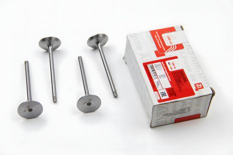 Впускний клапан (комплект 4 шт) Renault Kango 1.5dci, ASAM (30648) Впускний клапан (комплект 4 шт) Renault Kango 1.5dci, ASAM (30648)