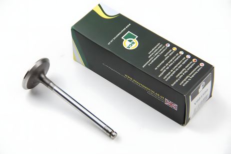 Впускной клапан Daewoo Lanos 97-1.5i, BGA (V991599) Впускной клапан Daewoo Lanos 97-1.5i, BGA (V991599)