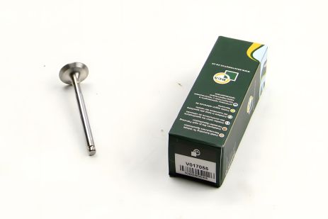 Выпускной клапан Doblo 1.2 i 01-, BGA (V017055) Выпускной клапан Doblo 1.2 i 01-, BGA (V017055)