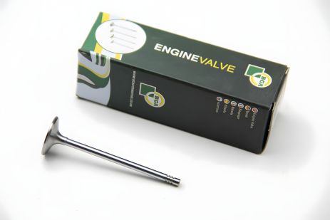 Впускной клапан Combo/Astra G/H 1.2/1.4 i 98-, BGA (V029455) Впускной клапан Combo/Astra G/H 1.2/1.4 i 98-, BGA (V029455)