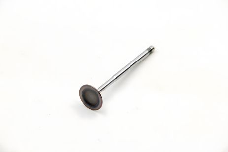 Впускной клапан для Golf/Passat 1.8/2.8 i 96-, JP Group (1111301100)