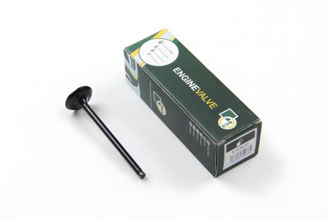 Клапан впускной для AVEO/LACETTI 1.4/1.6i 03-, BGA (V164620) Клапан впускной для AVEO/LACETTI 1.4/1.6i 03-, BGA (V164620)