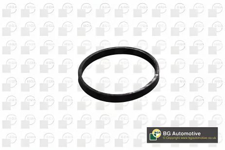 Впускная прокладка коллектора C1/C3/C4/P108/P208 1.0/1.2i 12-, BGA (MG1403)