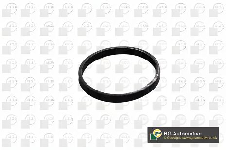 Впускная прокладка коллектора C1/C3/C4/P108/P208 1.0/1.2i 12-, BGA (MG1403)