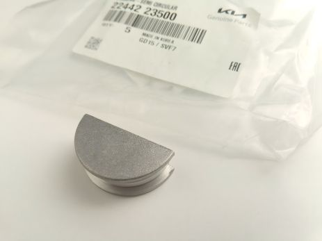 Уплотнительное кольцо клапанной крышки Hyundai/KIA, MOBIS (2244223500) (22442-23500) Уплотнительное кольцо клапанной крышки Hyundai/KIA, MOBIS (2244223500) (22442-23500)