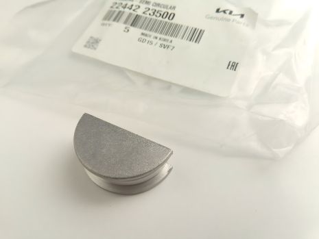 Уплотнительное кольцо клапанной крышки Hyundai/KIA, MOBIS (2244223500) (22442-23500) Уплотнительное кольцо клапанной крышки Hyundai/KIA, MOBIS (2244223500) (22442-23500)