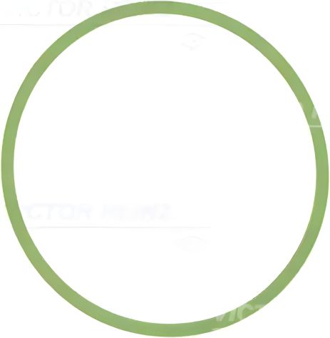 Впускного колектора прокладка Audi A6 (4F2) (2004 - 2011), VICTOR REINZ (714051300)