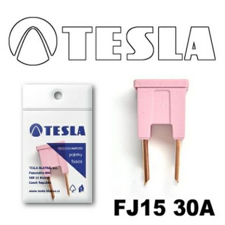 Предохранитель TESLA FJ15 ''CARTRIDGE'' 30A (TS FJ15 30A)