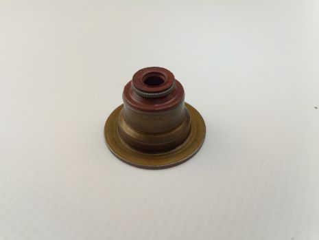 Клапанные сальники 1 шт. для Lanos 1.6, VICTOR REINZ (70-53393-00) (96840122)