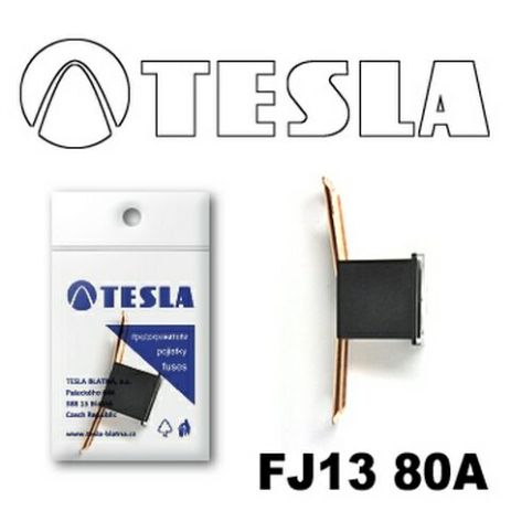 Tesla FJ13 "Картридж" 80A (TS FJ13 80A)