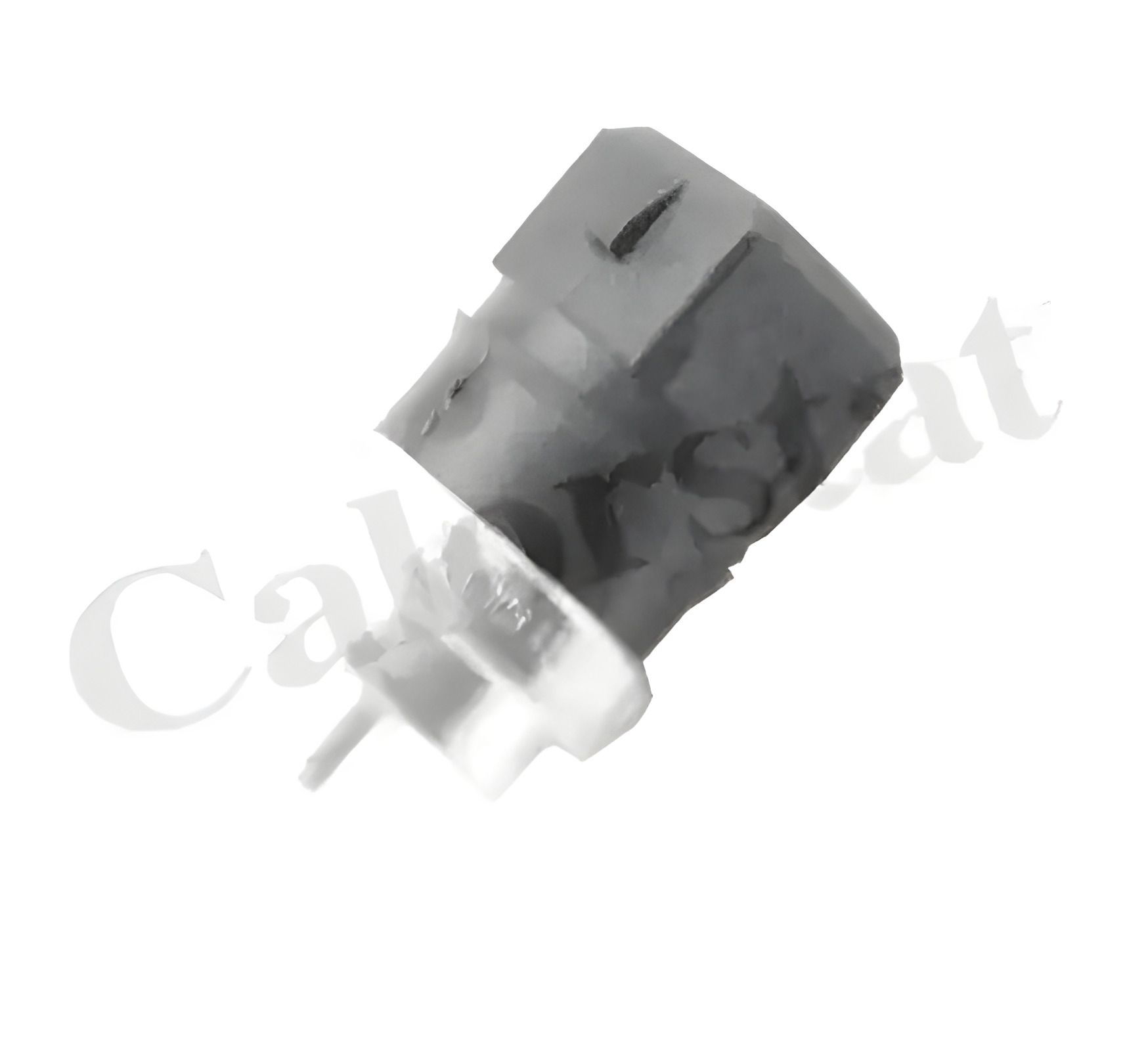 Температурний датчик DACIA DOKKER, NISSAN JUKE, SUZUKI GRAND VITARA, VERNET (WS2694) Температурний датчик DACIA DOKKER, NISSAN JUKE, SUZUKI GRAND VITARA, VERNET (WS2694)