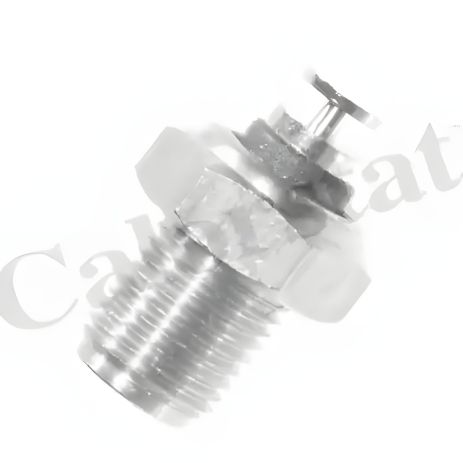 Датчик температури VW LT, VOLVO 940, PORSCHE 924, VERNET (WS2521) Датчик температури VW LT, VOLVO 940, PORSCHE 924, VERNET (WS2521)