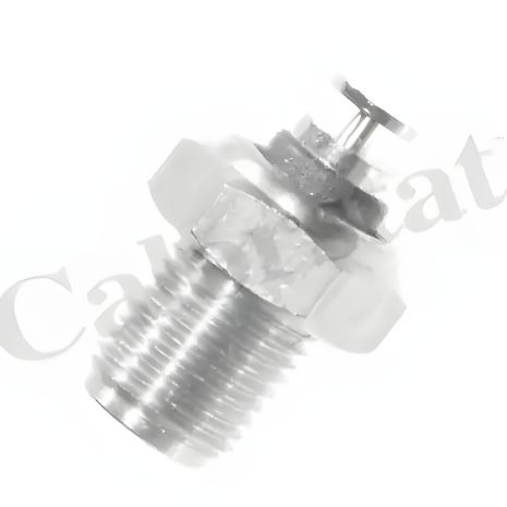 Датчик температури VW LT, VOLVO 940, PORSCHE 924, VERNET (WS2521) Датчик температури VW LT, VOLVO 940, PORSCHE 924, VERNET (WS2521)