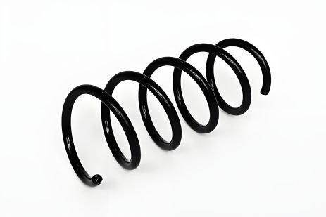 Передняя пружина для Dokker (с 2012), ASAM (74745)