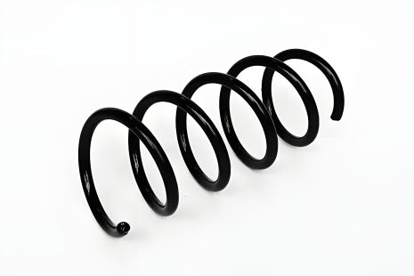 Передняя пружина для Dokker (с 2012), ASAM (74745)