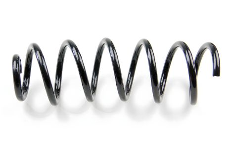 Logan II 12- (задня), ASAM (74748) Пружина