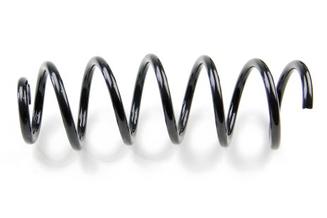 Logan II 12- (задня), ASAM (74748) Пружина