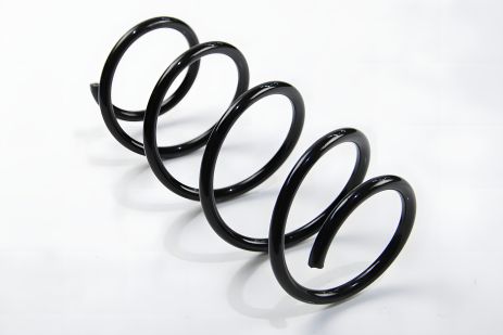 Пружина передня Renault Megane II 1.6/1.9DCI/2.0 02-, ASAM 73806