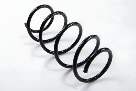 Передняя пружина Renault Megane II 1.6/1.9DCI/2.0 02-, ASAM (73806)