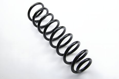 Задня пружина Megane II 03- універсал, ASAM (73788)