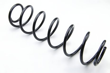 Задняя пружина для Laguna II 01-, ASAM (73750) Задняя пружина для Laguna II 01-, ASAM (73750)