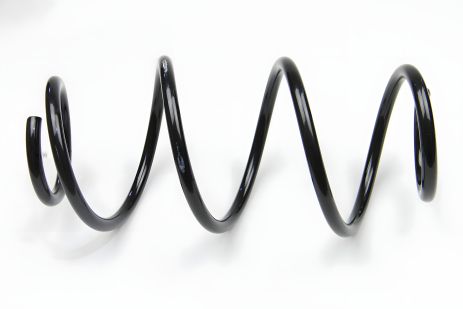 Задня пружина Dacia Dokker 12-, ASAM (74747)