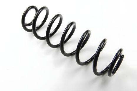 Задняя пружина Octavia/Bora/Golf 96-05, ASAM (73749)