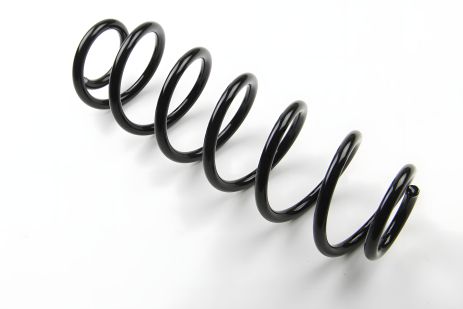 Задня пружина Octavia/Bora/Golf 96-05, ASAM (73749)