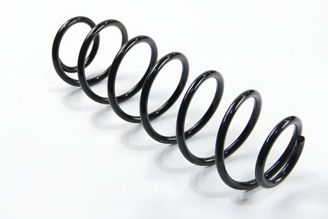 Задня пружина Laguna II kombi 01-, ASAM (73789)