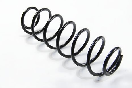 Задня пружина Laguna II kombi 01-, ASAM (73789)