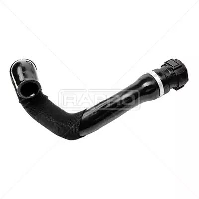 Kangoo 1.5DCI 03-, Rapro (12181) Труба