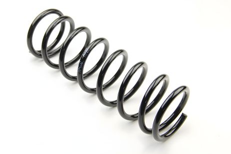 Задня пружина Ford Focus 98-04 CS Germany (14504030)