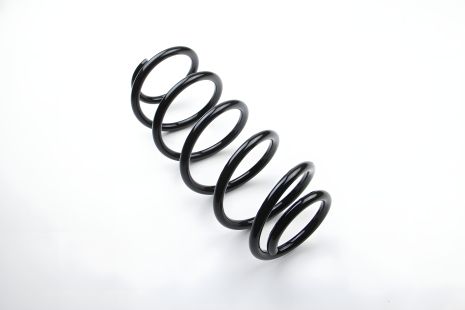 Пружина передня (Caddy 1.9TDI/2.0SDI/TDI 03-), ASAM (73746)