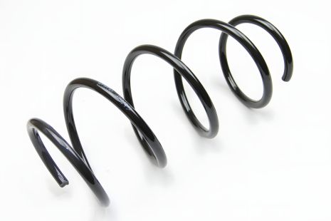 Передняя пружина для Renault Megane III 1.4/1.5dCi/1.6 09-, CS Германия (14877029) Передняя пружина для Renault Megane III 1.4/1.5dCi/1.6 09-, CS Германия (14877029)