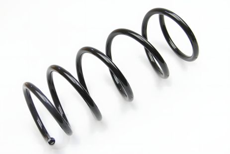 Передня пружина для Kangoo 1.6i/1.9D/dCi 98- від CS Germany (14871266)